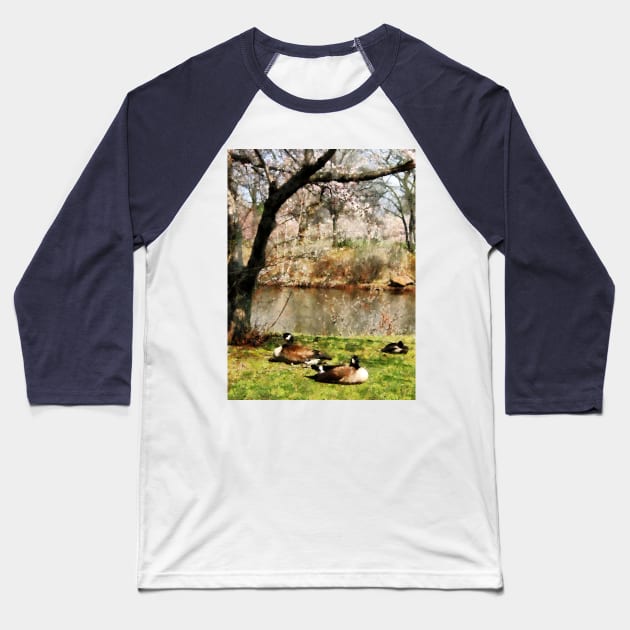 Geese - Geese Under Flowering Tree Closeup Baseball T-Shirt by SusanSavad